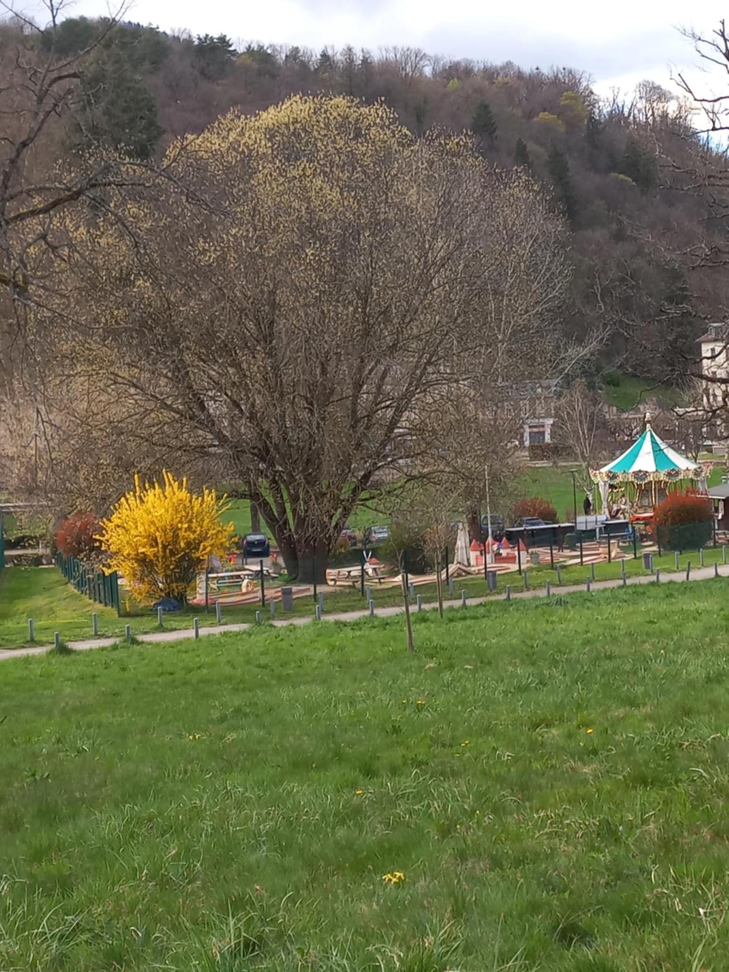 Residence Du Parc Saint-Martin-d'Uriage Екстер'єр фото